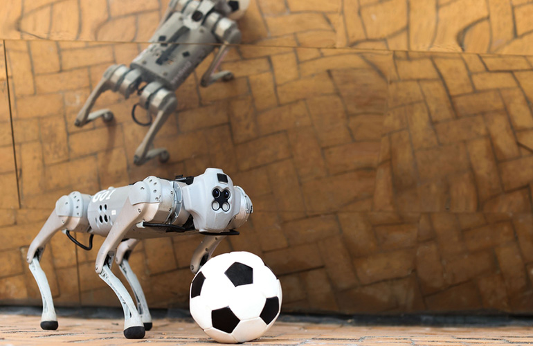 A quadruped with a soccer ball.